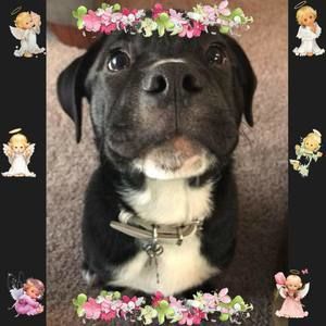 Meet your Posher, Jen